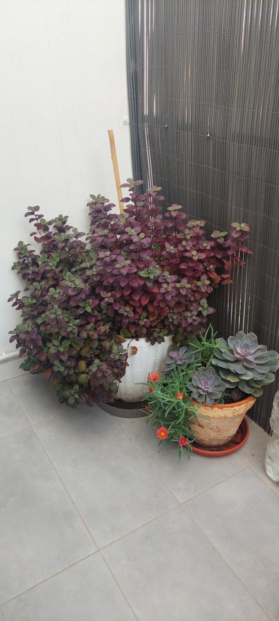 Apartamento La Union Castellon de la Plana Luaran gambar